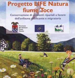 Progetto LIFE Natura fiume Toce
