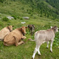 Ultimi abitanti della Val Grande