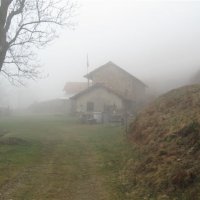 Nebbia sul percorso