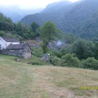 Pogallo ancora addormentata