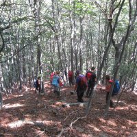 Nel bosco in discesa verso Alpe Pian di Boit